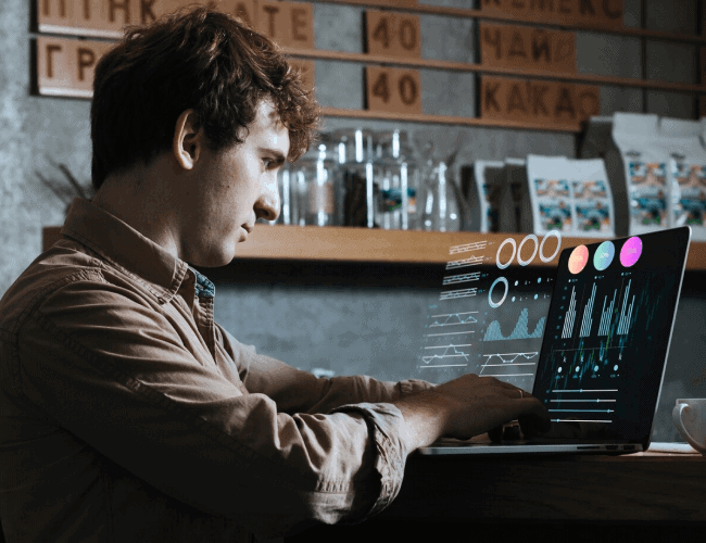 Web Development
